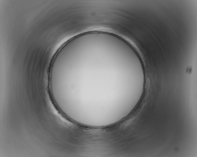 X0000115530999200911061123