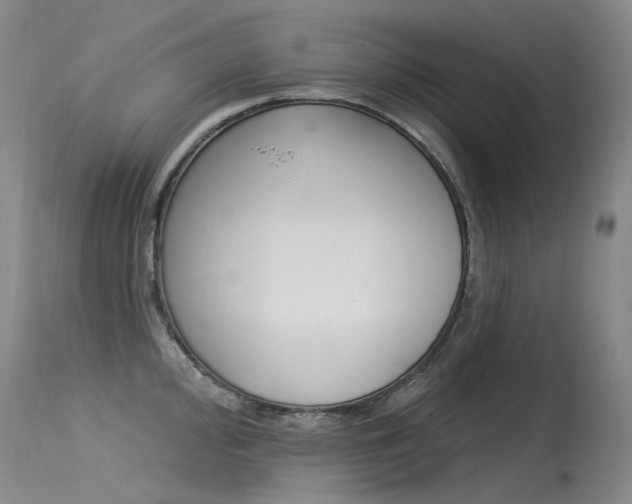 X0000115531000200911061123