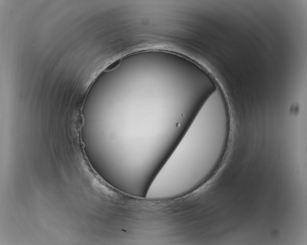 X0000115531001200911061123