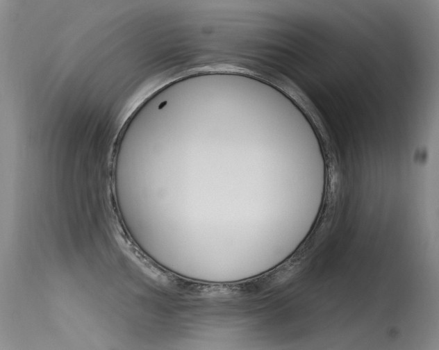 X0000115531002200911061123