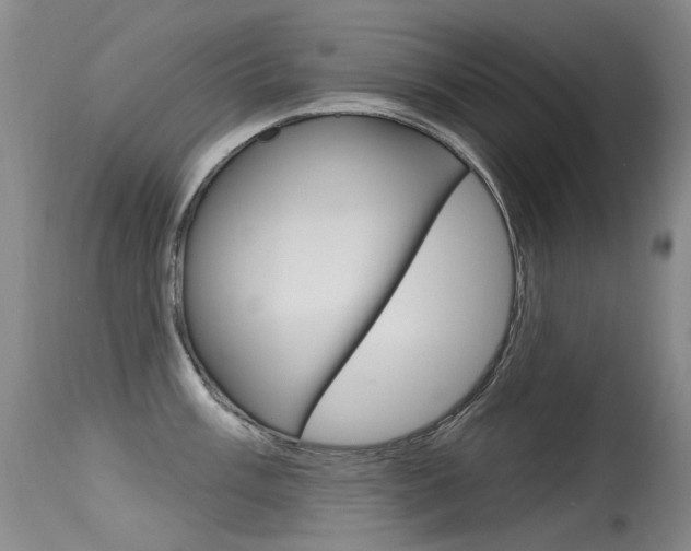 X0000115531003200911061123