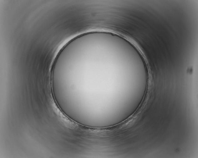 X0000115531004200911061123
