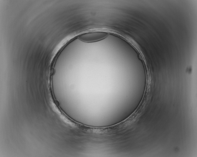 X0000115531005200911061123