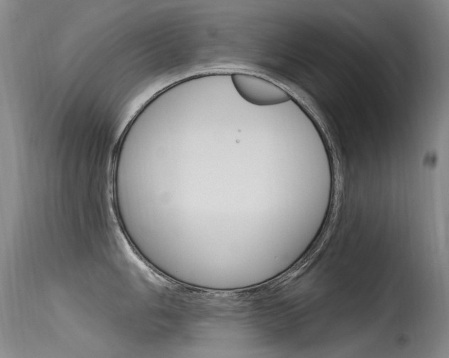X0000115531006200911061123