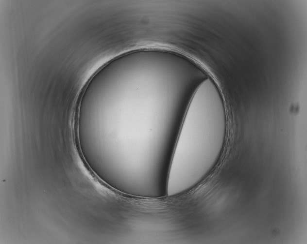 X0000115531007200911061123