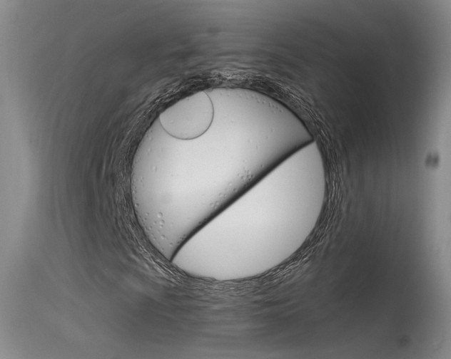 X0000115531009200911061122