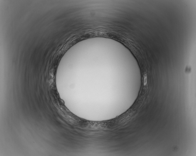 X0000115531011200911061122