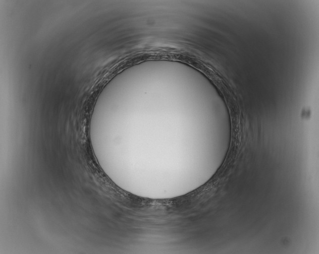 X0000115531013200911061122
