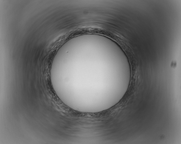 X0000115531014200911061122