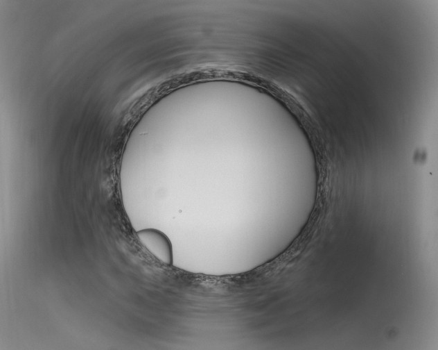 X0000115531015200911061122