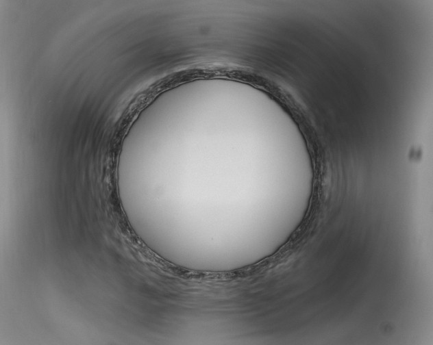X0000115531016200911061122