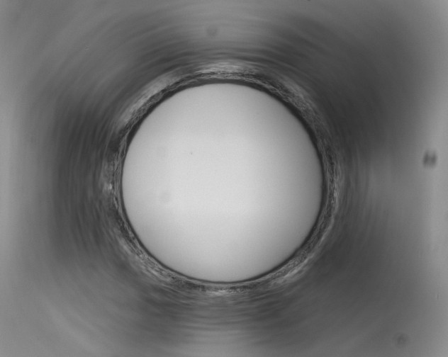 X0000115531017200911061122