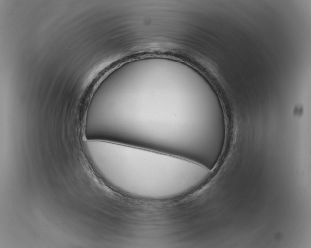 X0000115531018200911061122