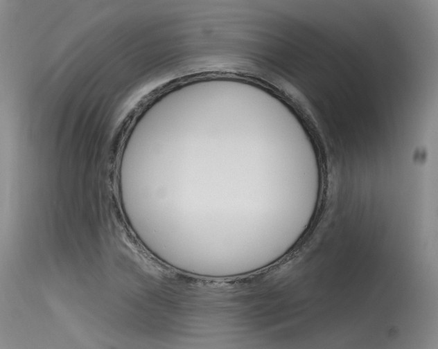 X0000115531019200911061122