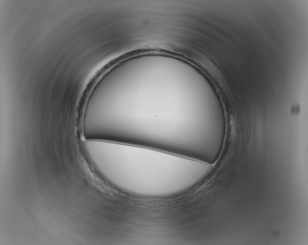 X0000115531020200911061122