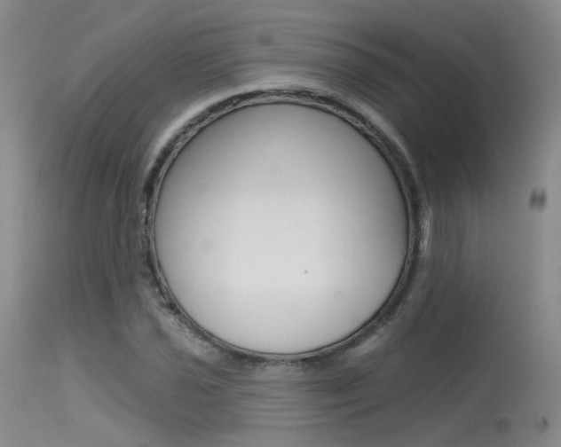 X0000115531021200911061122
