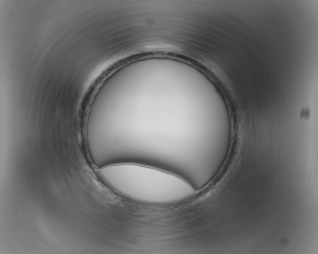 X0000115531022200911061122