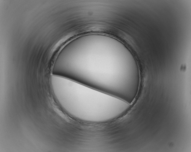 X0000115531026200911061122