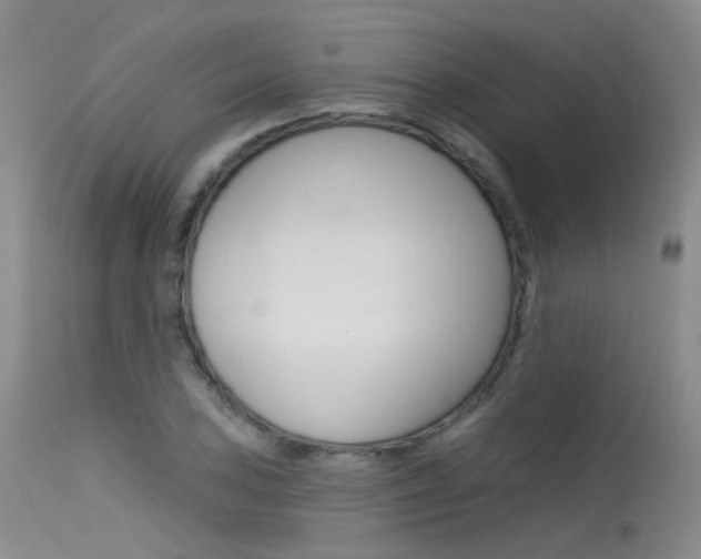 X0000115531027200911061122