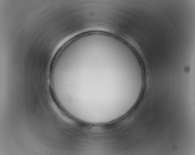 X0000115531028200911061122