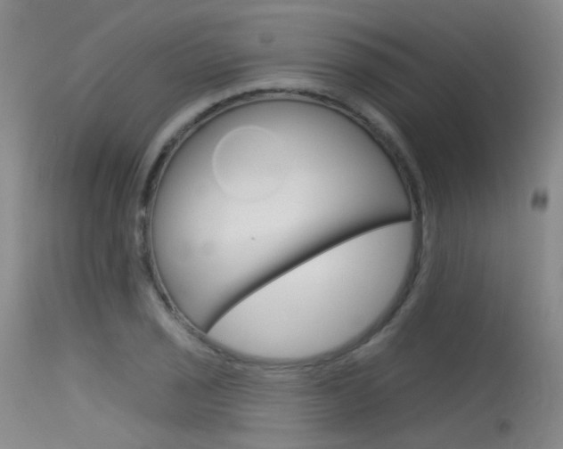 X0000115531029200911061122