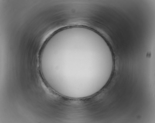 X0000115531031200911061122