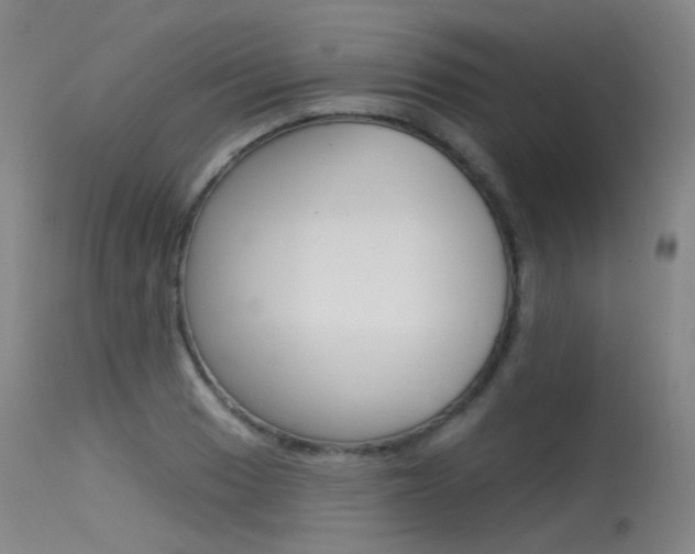 X0000115531033200911061122