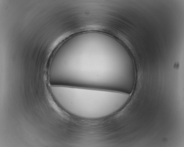 X0000115531034200911061122