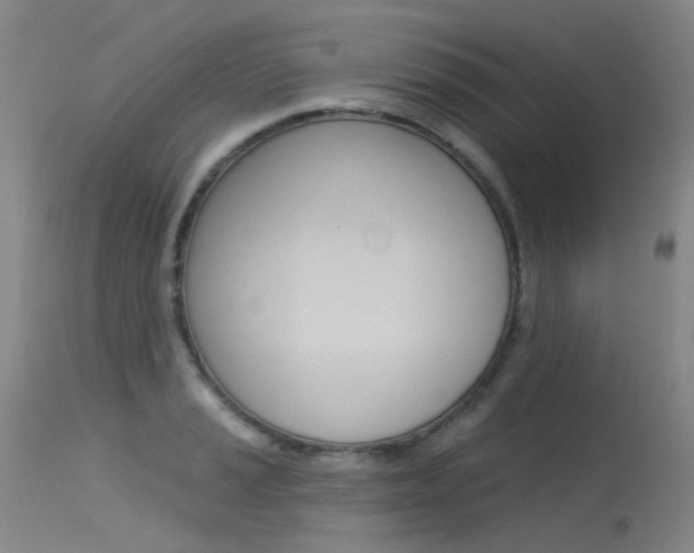 X0000115531037200911061122