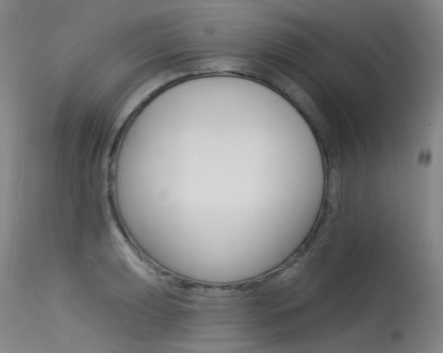 X0000115531039200911061122