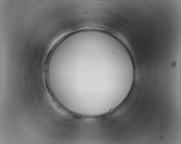 X0000115531043200911061122
