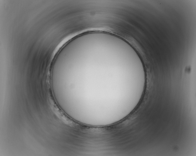 X0000115531044200911061123
