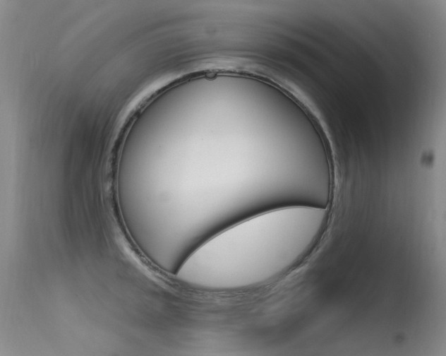 X0000115531045200911061123