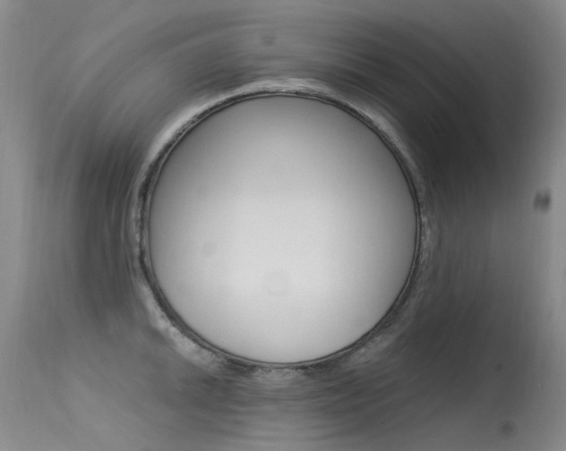 X0000115531046200911061123