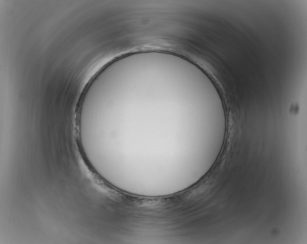 X0000115531047200911061123