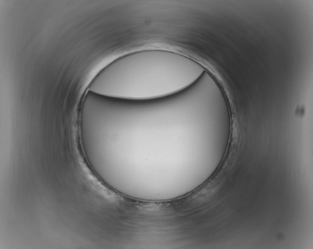 X0000115531048200911061123