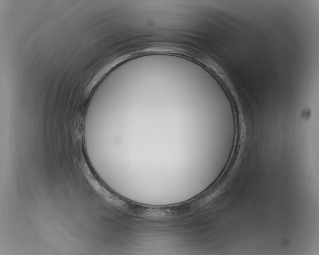 X0000115531049200911061123