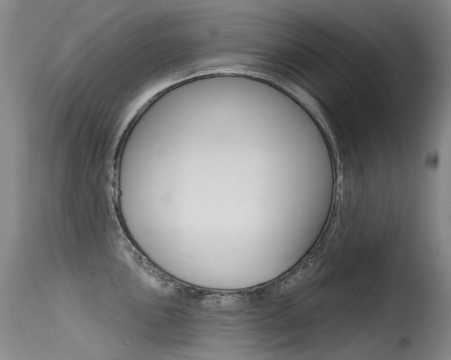 X0000115531051200911061123