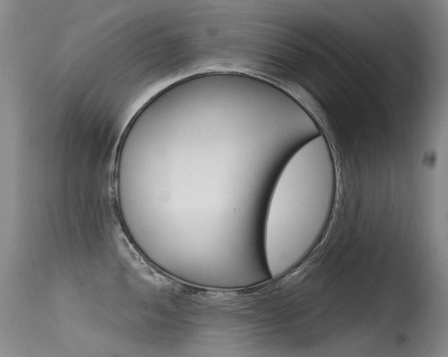 X0000115531052200911061123