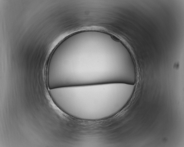 X0000115531054200911061123