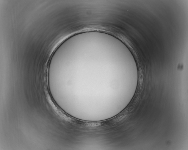 X0000115531055200911061123