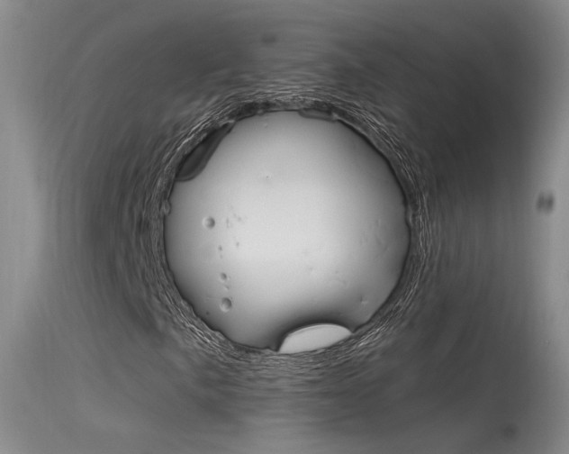 X0000115531057200911061122