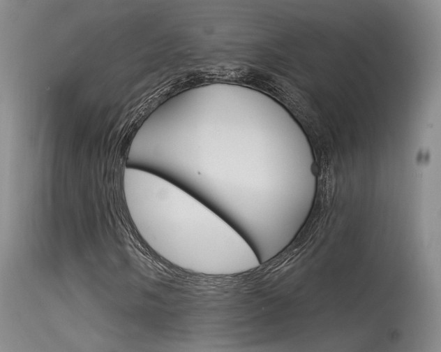 X0000115531058200911061122