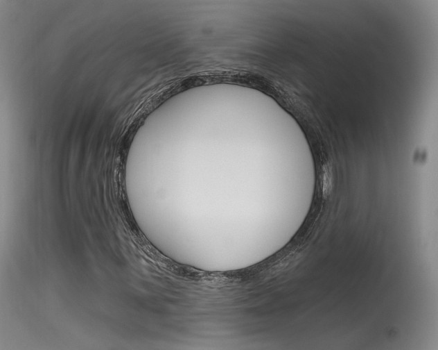 X0000115531059200911061122