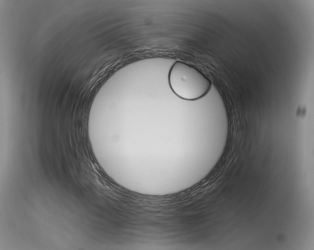 X0000115531060200911061122