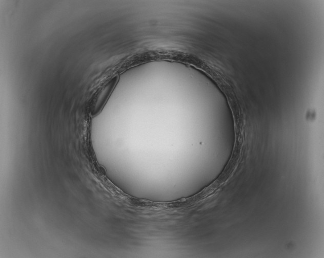 X0000115531061200911061122
