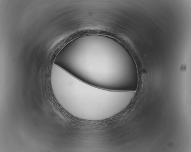 X0000115531064200911061122