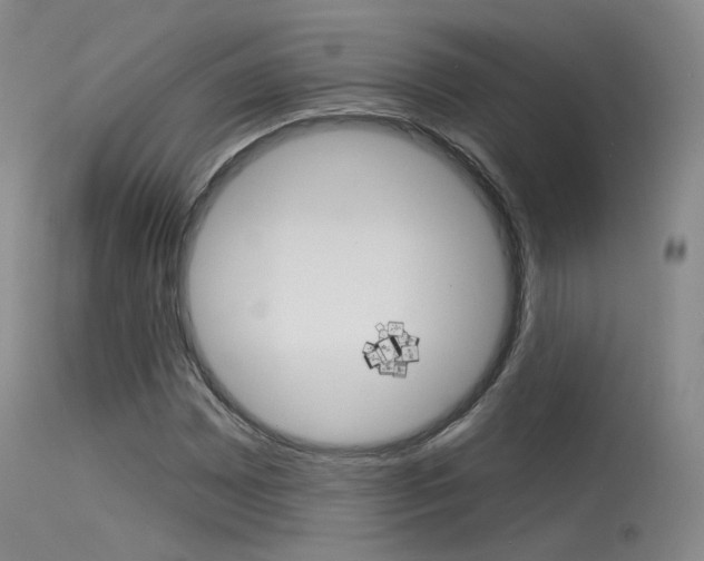 X0000115531065200911061122