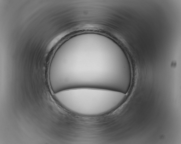 X0000115531066200911061122