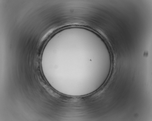 X0000115531067200911061122